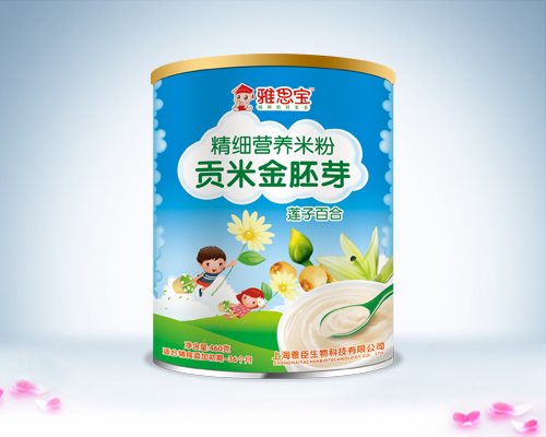 雅思寶蓮子百合貢米金胚芽營養米粉罐裝