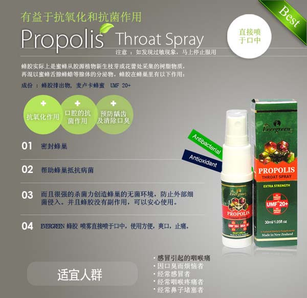 Evergreen���z����