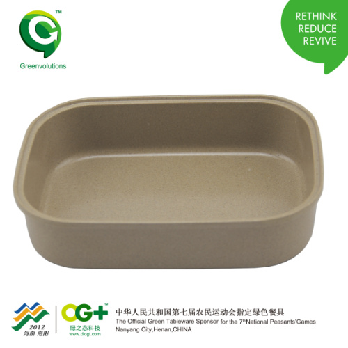 綠之態兒童便當盒