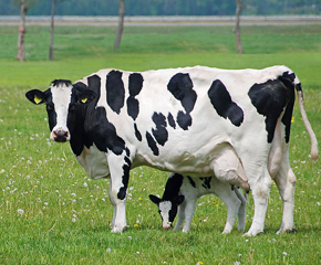 �°������̷۳�����Դ׷���wϵ