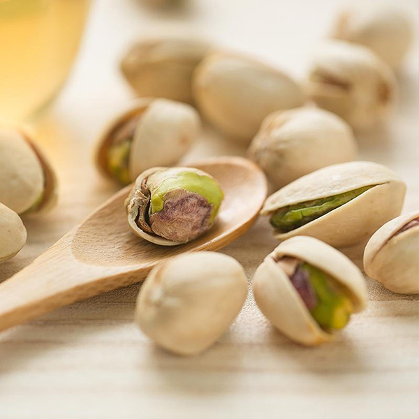 巴瑪熊開心果 (4).jpg