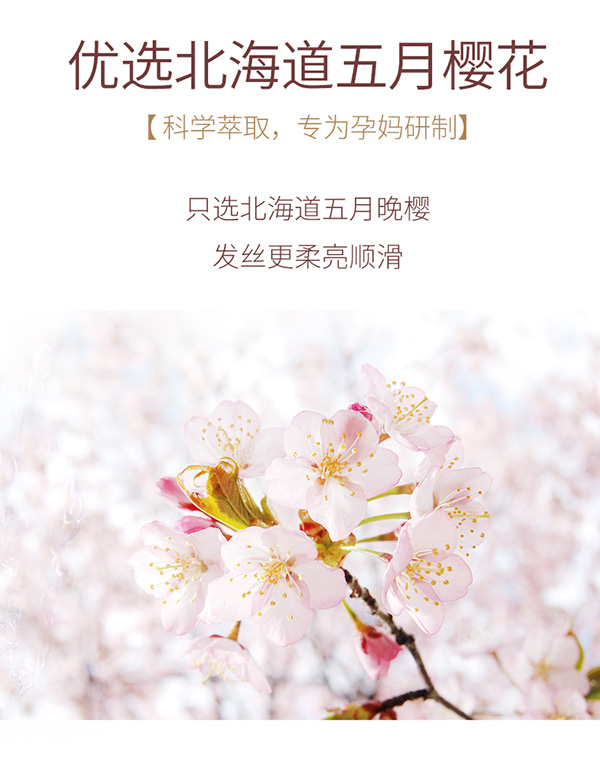 植物主義櫻花洗發水+沐浴露2件套 (7).jpg