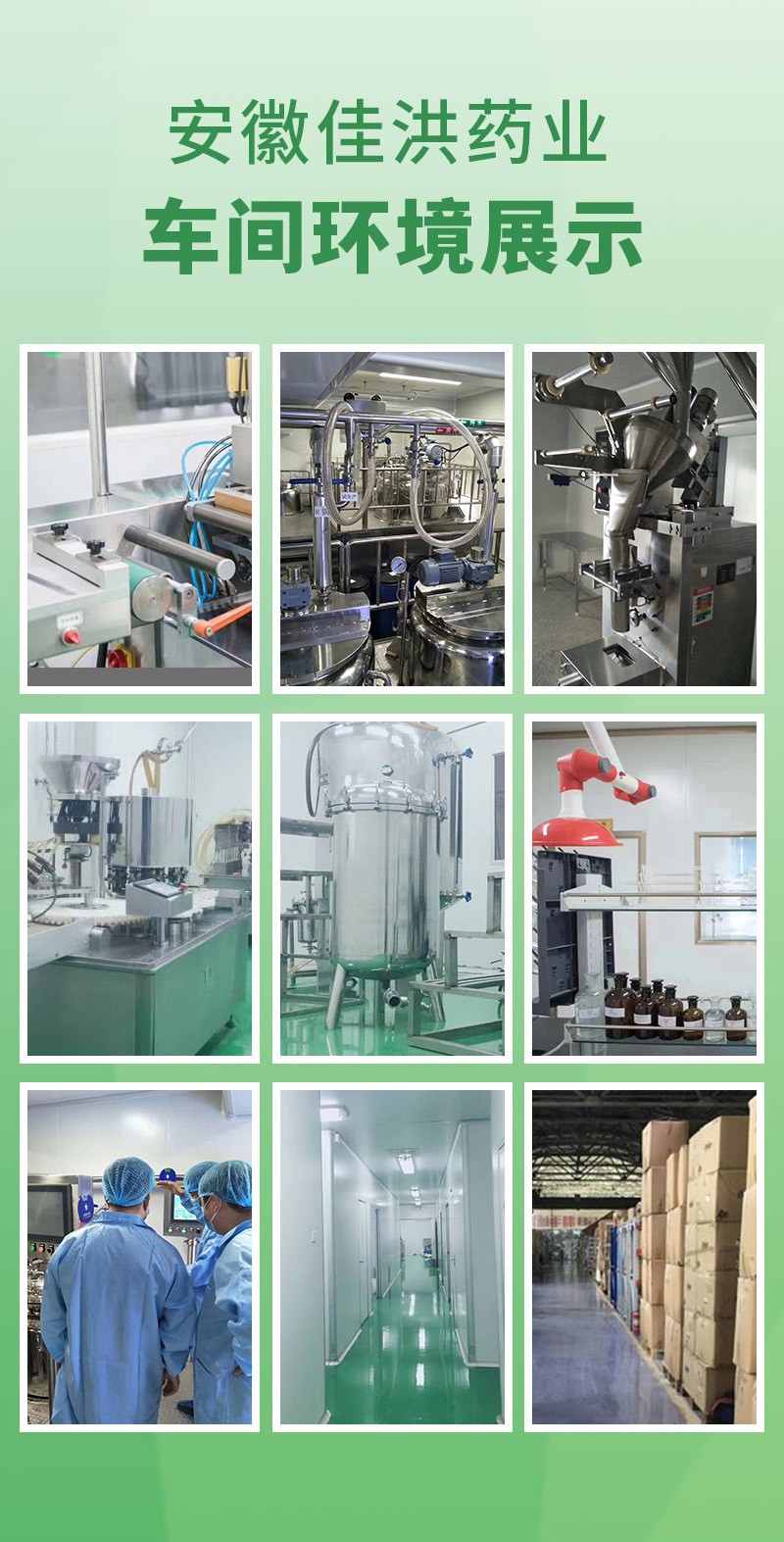 安徽佳洪健康產業有限公司 (3).jpg