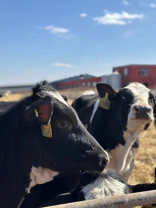 圖片8.jpg 圖片8.jpg