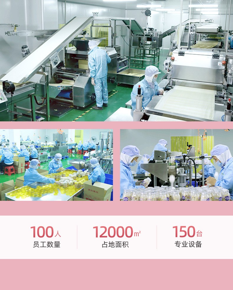 海洋生物造型餅干 (2).jpg