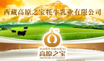 ظԭ֮ţIɷ޹˾