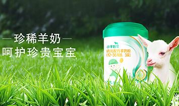 ���С�������I����؟�ι�˾