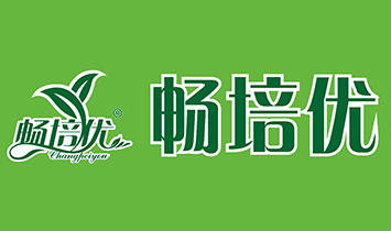 VݕI޹˾
