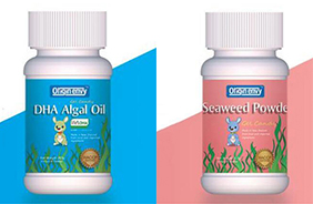 �W����S���z�ǹ�