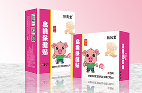 扶風堂經穴保健貼