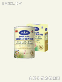 ̫ӘDHA+AApӠIB׷(1A)