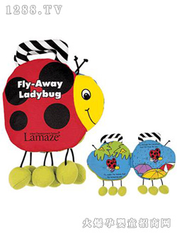 �����ɼ��x�w�w