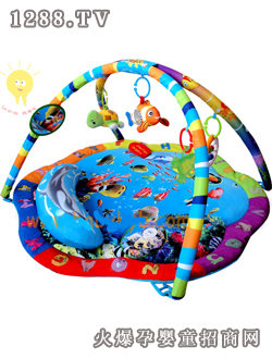 拉迪達嬰兒益智游戲毯