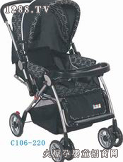 ����?q��)����׃���܇C106-220