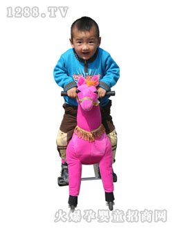 С����Сľ�R