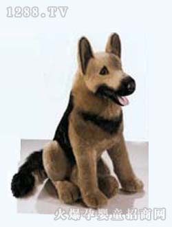 ����������߹�