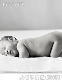 安琪爾趴著的寶寶