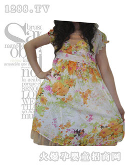 Ʒ��ǰ��ϵ��ѩ��ȹ