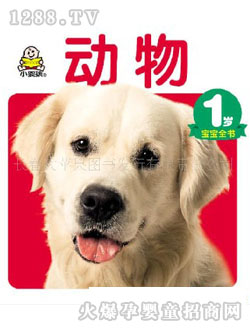 С�뺢������(sh��)��(d��ng)��