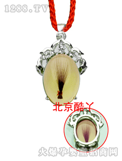 ��Ѿ���F���y��