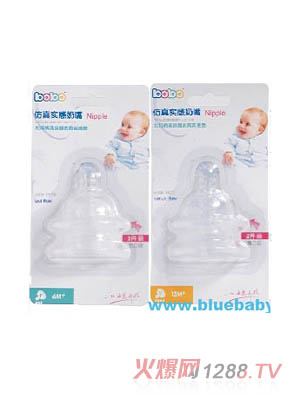 �{���`���挍������