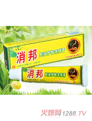 ���������o�w������