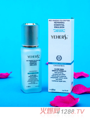 �t�Ǽt���������o���A��