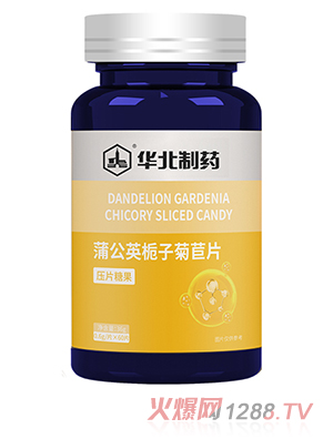 華北制藥蒲公英梔子菊苣片