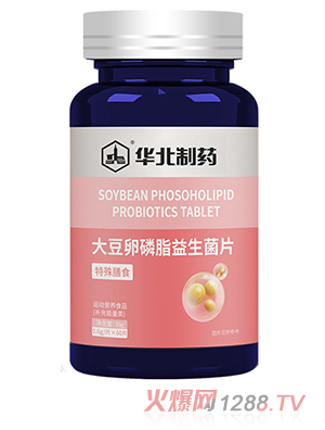 �A����ˎ������֬������Ƭ