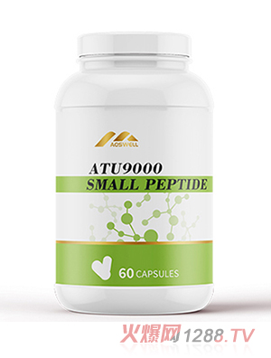 {øˮ_ƷOEM̴ӹ_MڠIBƷ